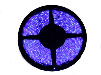 LED STRIP 5M BLUE 12V WHITE PCB BOARD IP65;3-4lm/LED 60LED/M