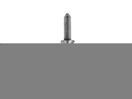 RIVET