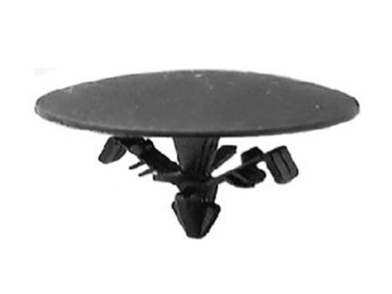 RIVET
