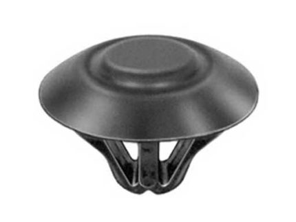 RIVET
