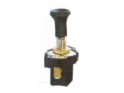 2011-0310 SWITCH 2 PIN 1 POSITION BIG SIZE 21mm height