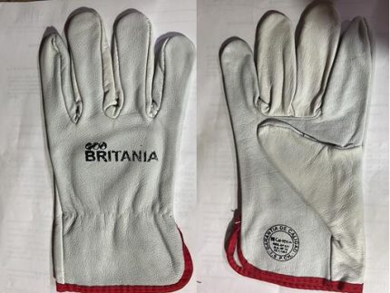 GL1421 glove AB LEATHER COW UNLINED SIZE 10 inch
