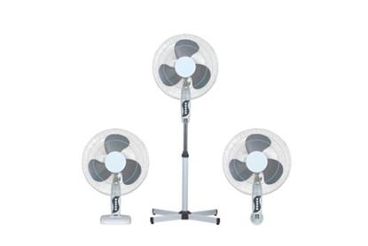 fan