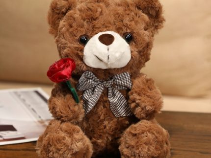 Teddy Bear Doll
