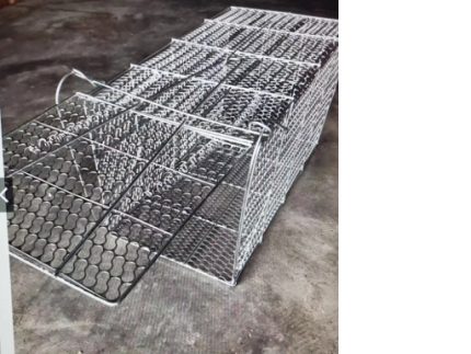 BIG MATEAL TRAP CAGE, SIZE 60X30X30CM