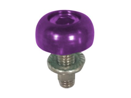 MOTORCYCLE SCREW M6 THREAD PURPLE