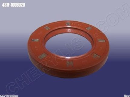 481F-1006020 RETEN EJE LEVAS 30x50x7 30x50x7 CHERY S22 CHERY
