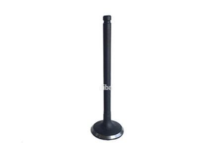 1003013GG010 Exhaust Valve VALVULAS ESCAPE JAC JAC JAC VELOCE